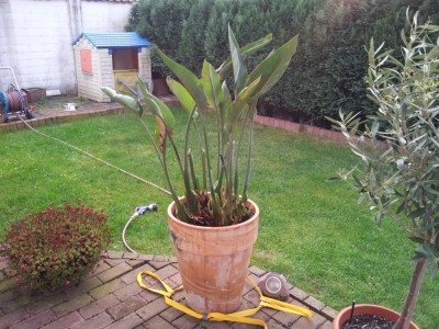 20130508_201551.jpg