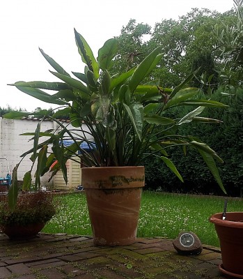 20120714_102126_2.jpg