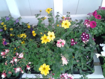 2013-05-07 13.23.14.jpg