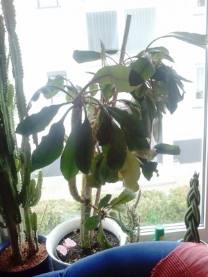 2013-05-09 15.35.28.jpg