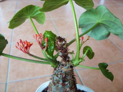 Photo16.jpg