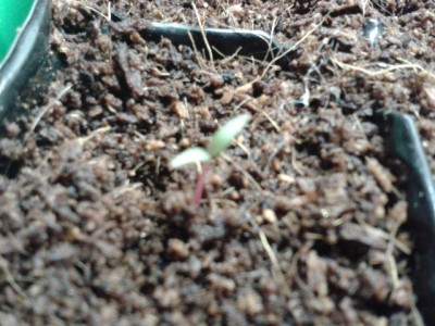 2013-05-09 22.16.42.jpg