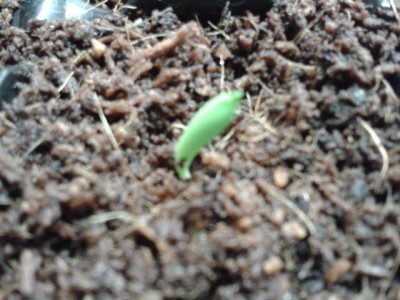 2013-05-09 22.16.09.jpg