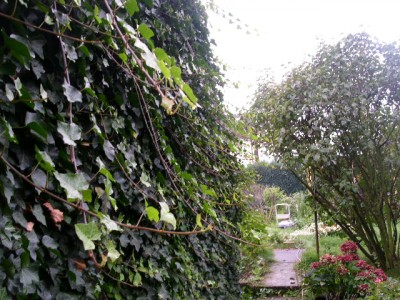 PICT0383.JPG
