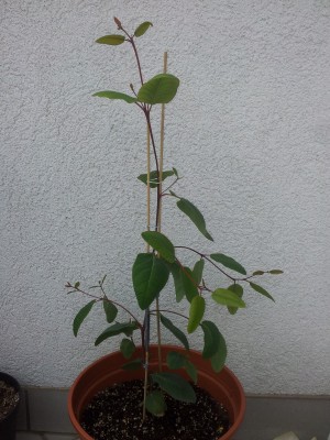 20130510_190216.jpg