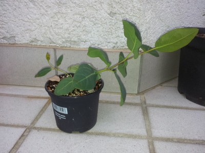 20130510_194921.jpg