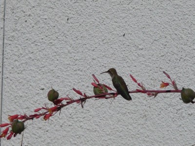 P1230130.JPG