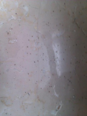 IMAG0423.jpg