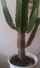 IMAG0134.jpg