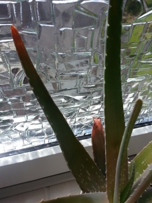 20130512_135613.jpg