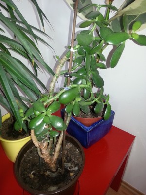 20130512_135548.jpg