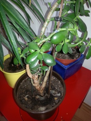 20130512_135542.jpg