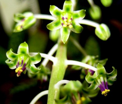 2013-1-124.jpg