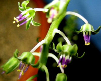2013-1-125.jpg