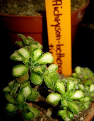 2013-1-126.jpg