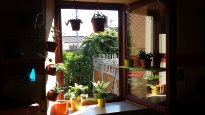 20130509_093738.jpg