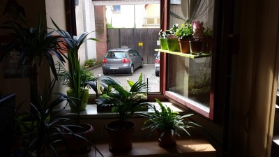 20130509_094955.jpg