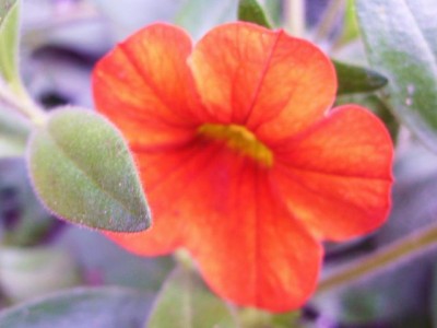 Photo7.jpg