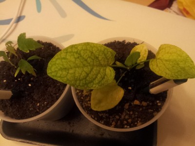 20130513_211740.jpg