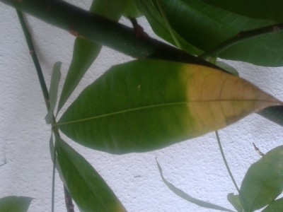 20130514_121827.jpg