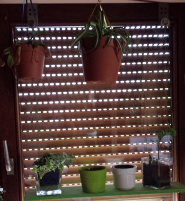 20130514_140435.jpg