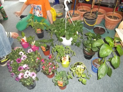 DSCF0996.JPG