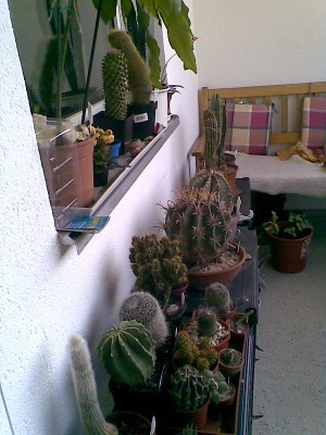 Balkon.jpg
