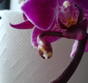 20130516_161025.jpg