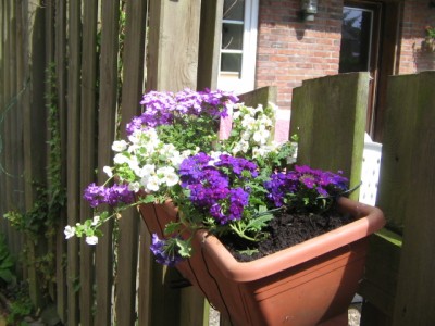 Mai 2013 04 017.JPG