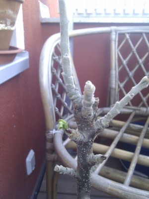 2013-05-17 07.39.58.jpg