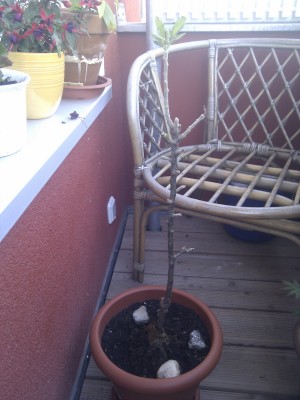 2013-05-17 07.39.26.jpg