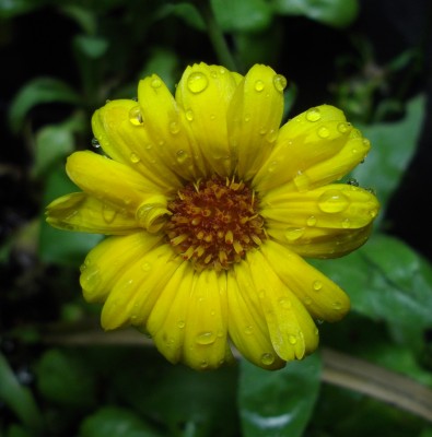 Kopie von bilderbuch 238.jpg