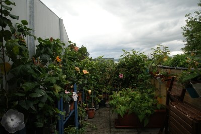 balkonchaos.JPG