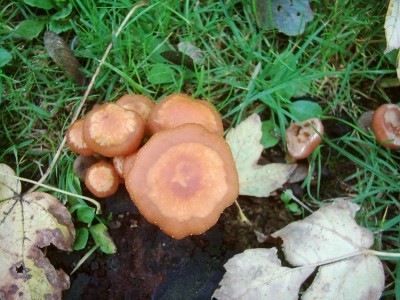 Bilder vom 01.10.2007 017.jpg