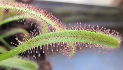 2012-05-25 19.45.36.jpg