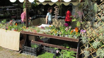 Garten 2013_2793.jpg