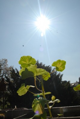 Wetter 034yy.jpg