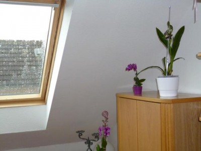 P1000264.JPG