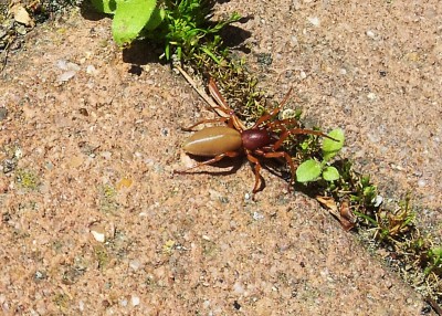 20130519_134638.jpg