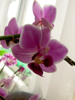 PICT0041_.JPG