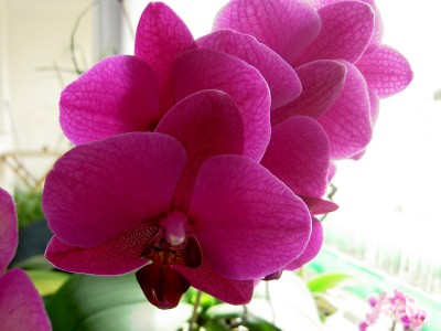 PICT0040_.JPG
