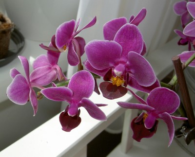 PICT0038_.JPG