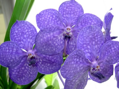 PICT0037_.JPG