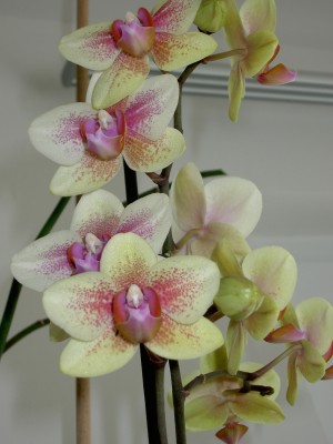 PICT0036_.JPG