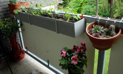 Balkon2013 113yy.jpg