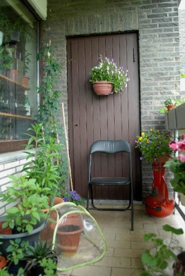 Balkon2013 112yy.jpg