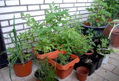 Balkon2013 111yy.jpg