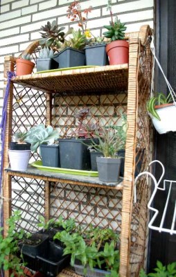 Balkon2013 109yy.jpg