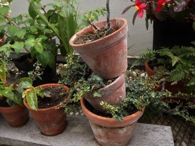 DSCF5468 (400x300).jpg