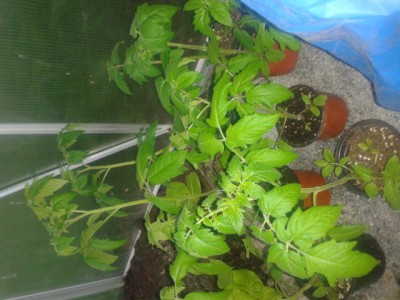 2013-05-20 20.56.54.jpg